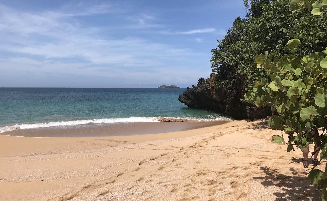 Playa Onda Samana'in fotoğrafı parlak kum yüzey ile