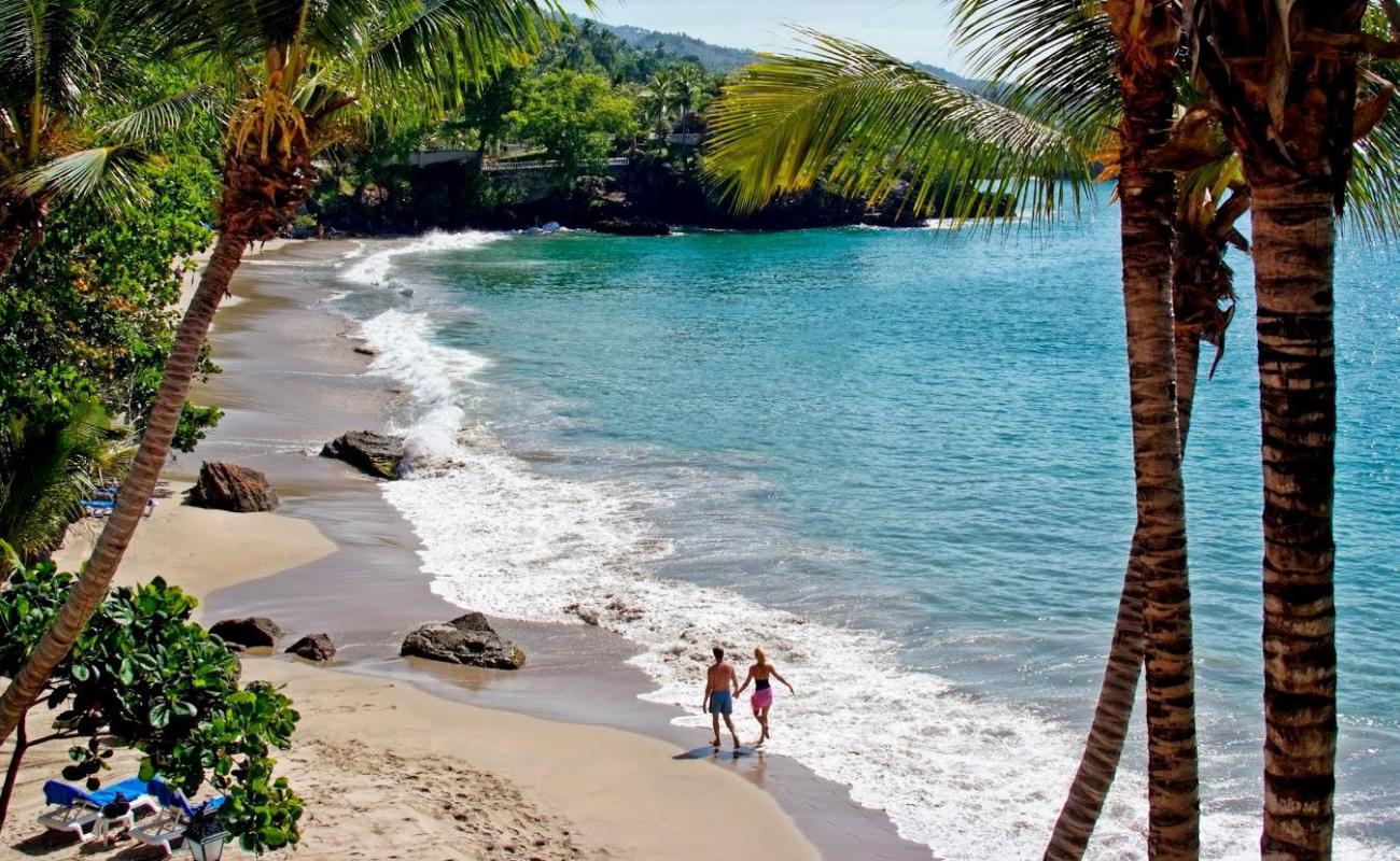 Playa Chinguela'in fotoğrafı i̇nce bej kum yüzey ile