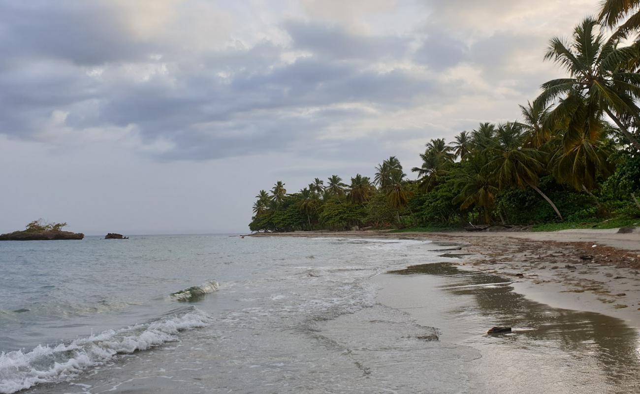 Playa Anacaona'in fotoğrafı gri kum yüzey ile