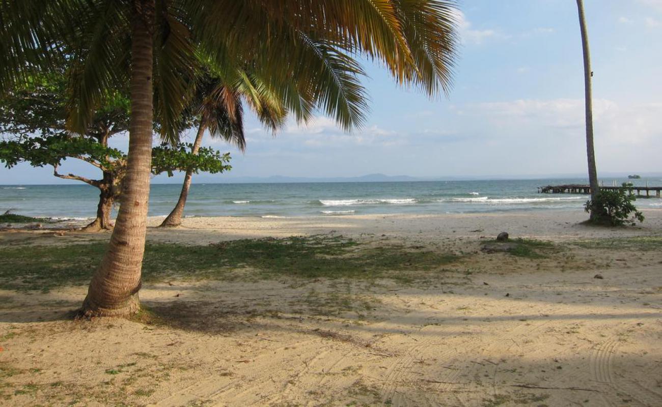 Playa la pascuala'in fotoğrafı açık bej kum yüzey ile