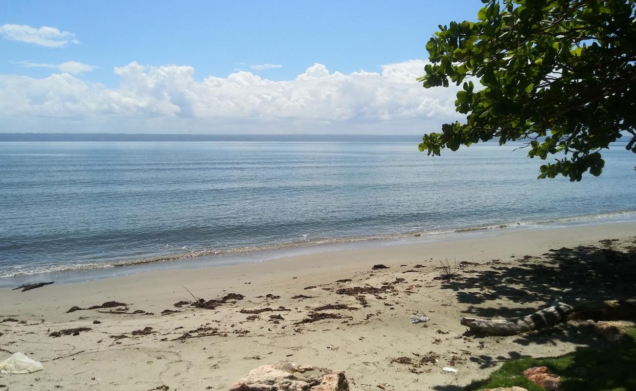 Playa Las Garitas'in fotoğrafı açık bej kum yüzey ile
