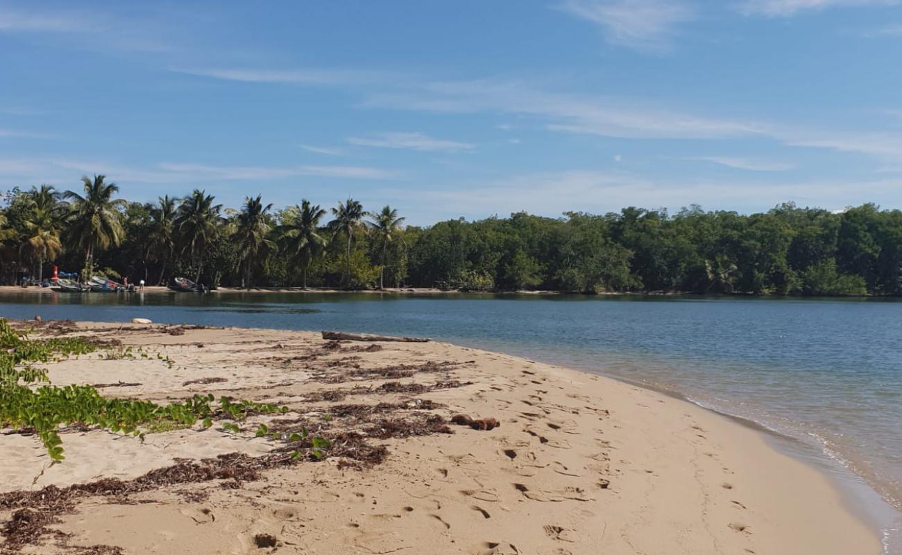 Playa Los Haitises'in fotoğrafı açık bej kum yüzey ile