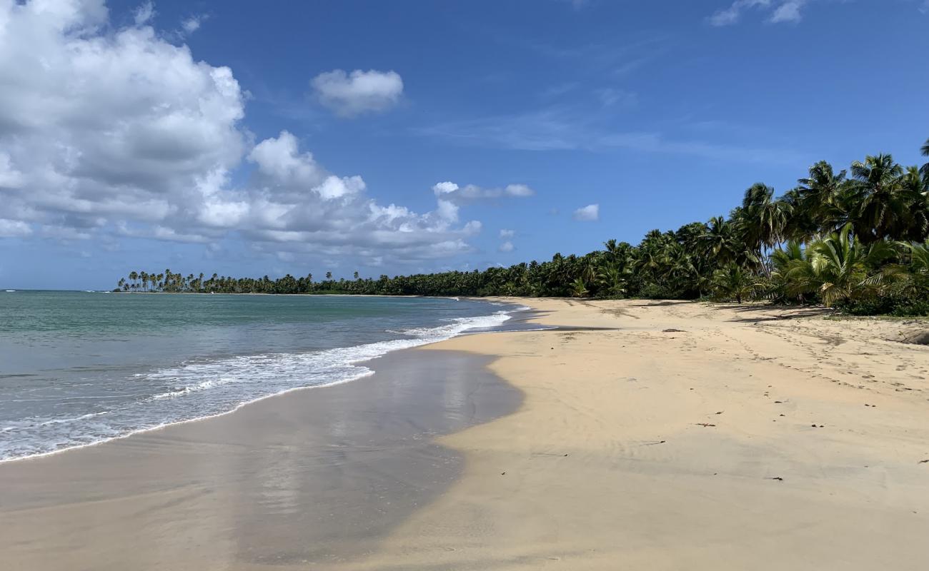 Playa Costa Esmeralda'in fotoğrafı i̇nce bej kum yüzey ile