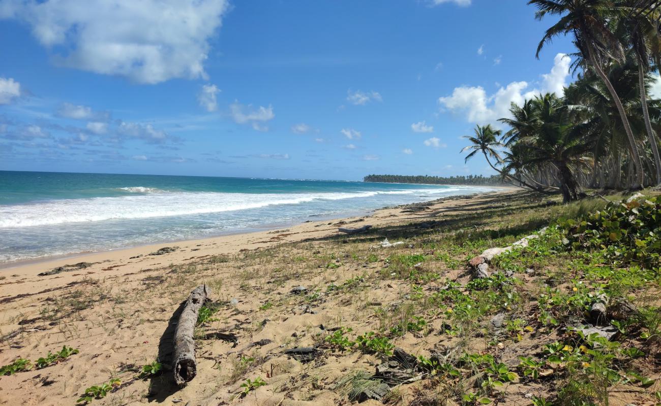 Playa Sabana Nisibon'in fotoğrafı açık bej kum yüzey ile