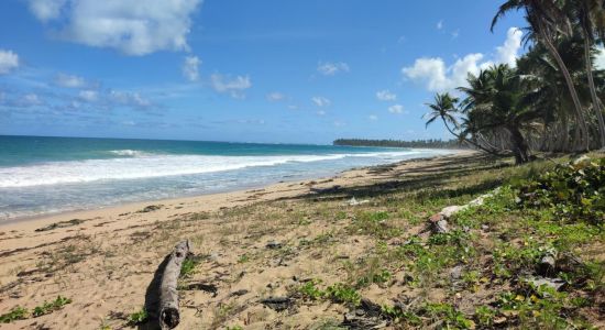 Playa Sabana Nisibon