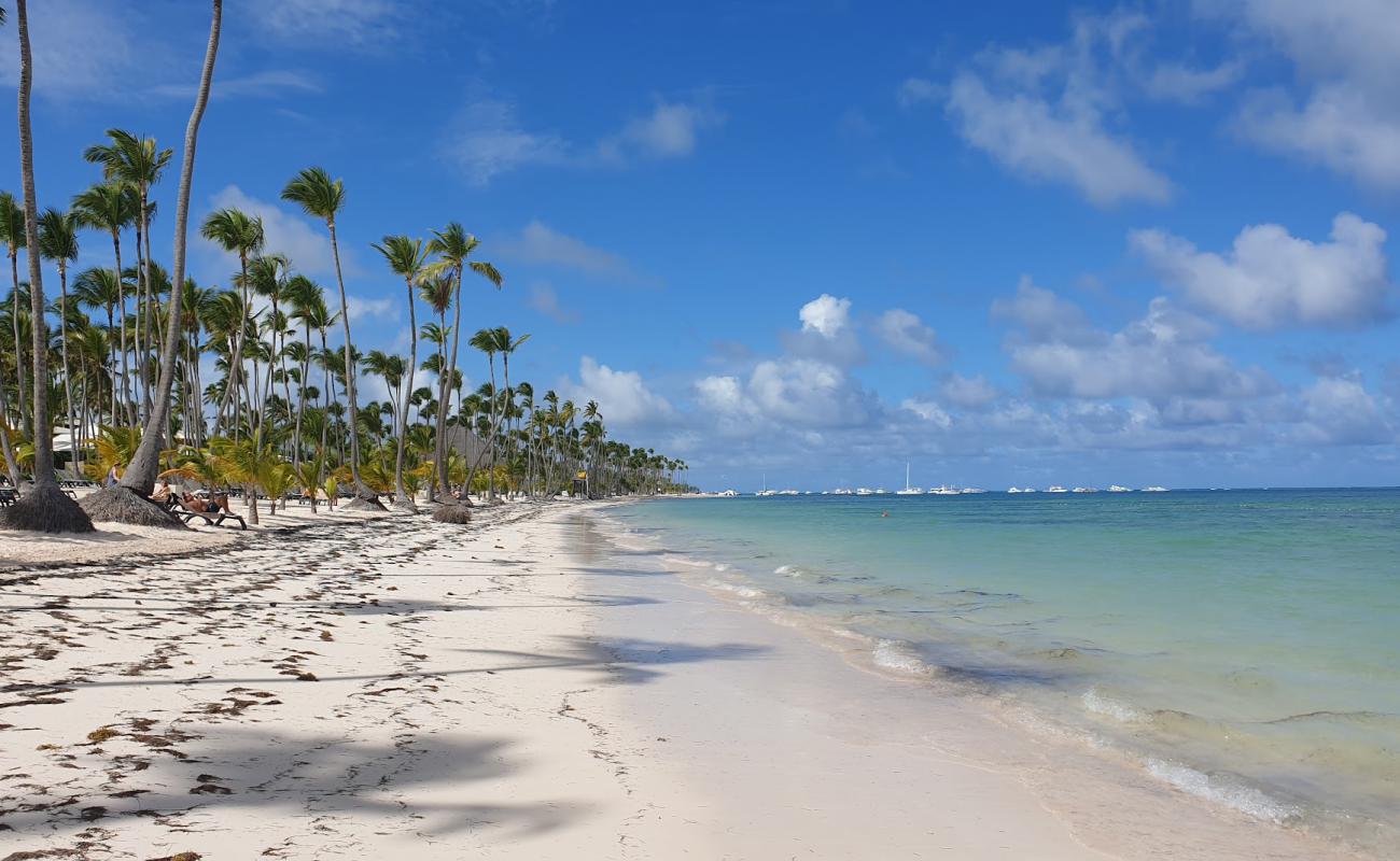 Bavaro II Plajı'in fotoğrafı i̇nce bej kum yüzey ile