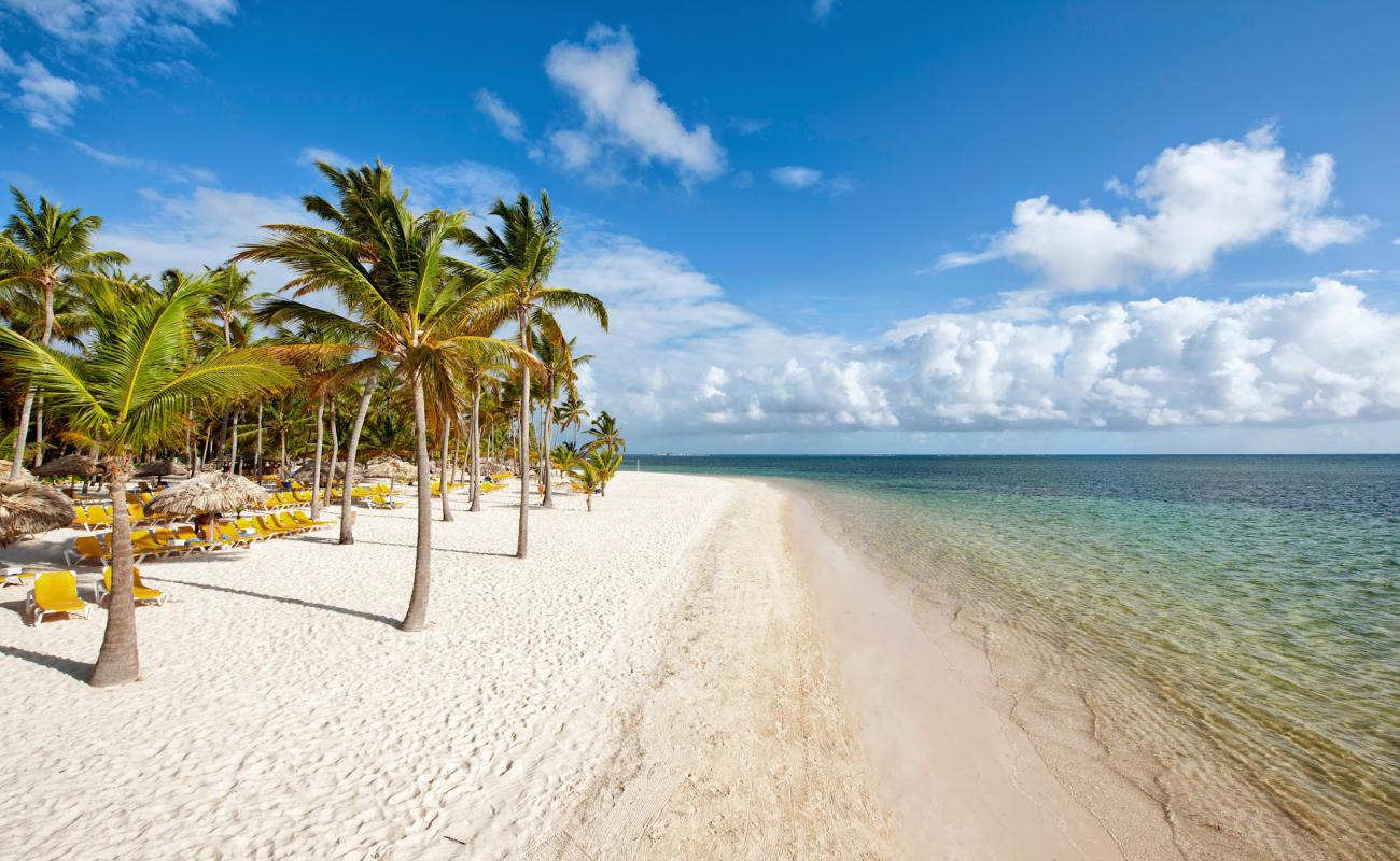 Catalonia Bavaro Plajı'in fotoğrafı i̇nce beyaz kum yüzey ile