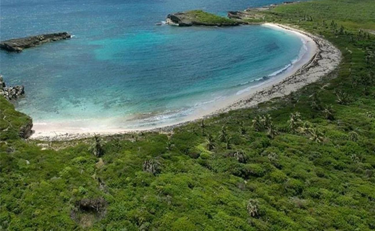 Guanabano beach'in fotoğrafı i̇nce bej kum yüzey ile
