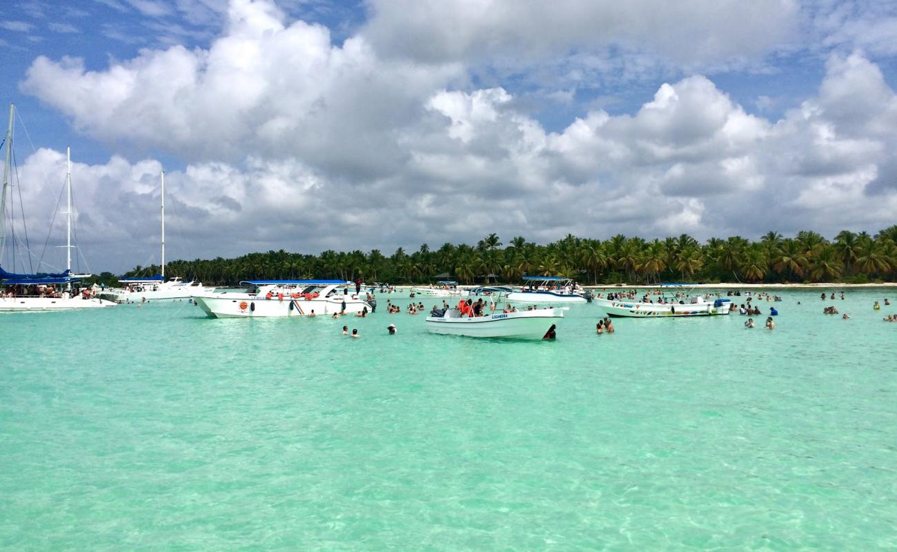 Saona beach'in fotoğrafı parlak ince kum yüzey ile