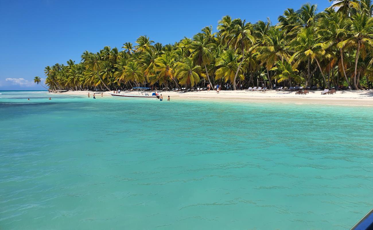 Palmilla Plajı'in fotoğrafı parlak ince kum yüzey ile