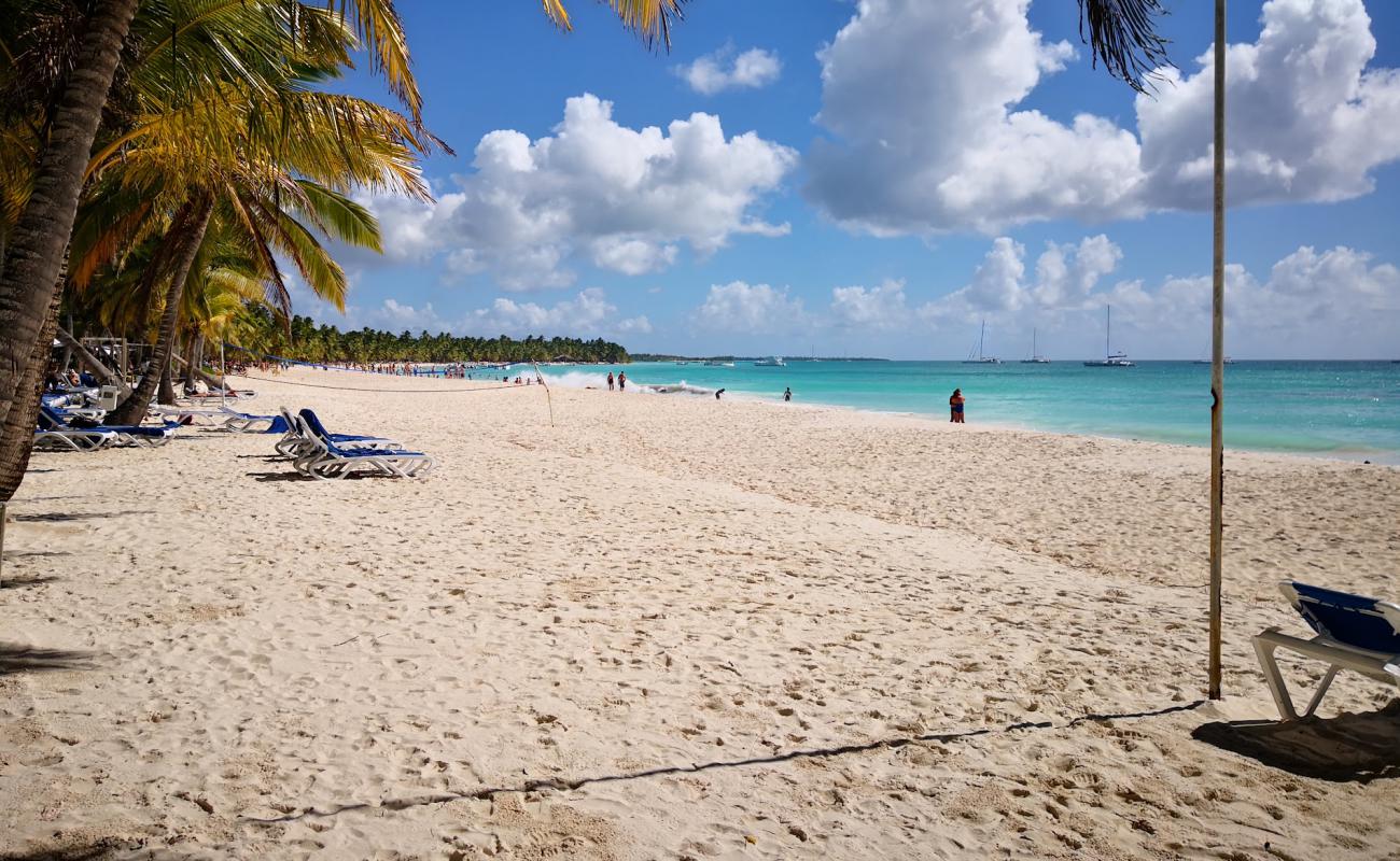 Bayahibe Plajı'in fotoğrafı parlak ince kum yüzey ile