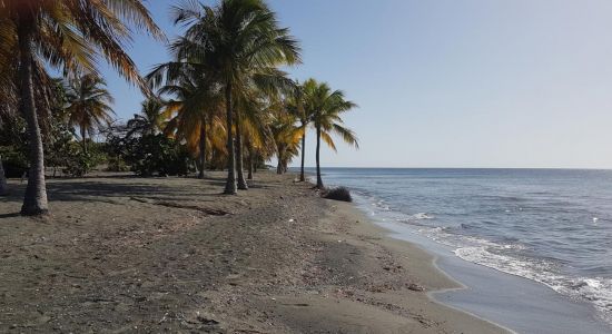 Playa Punta Salinas