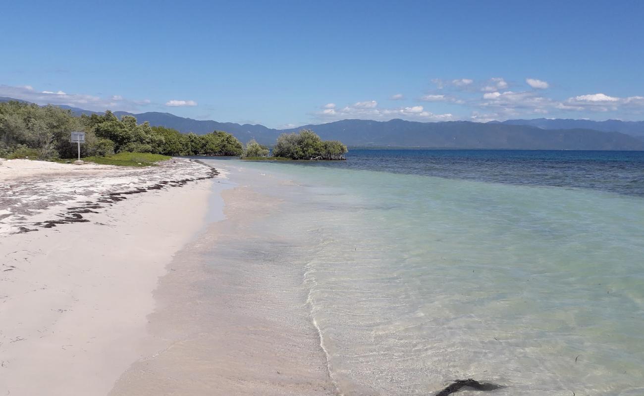 Uvita beach'in fotoğrafı parlak ince kum yüzey ile