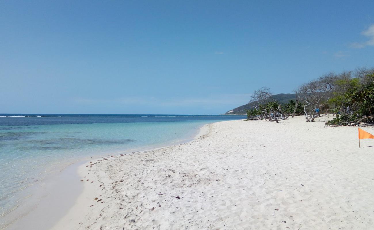 La Caobita beach'in fotoğrafı parlak ince kum yüzey ile