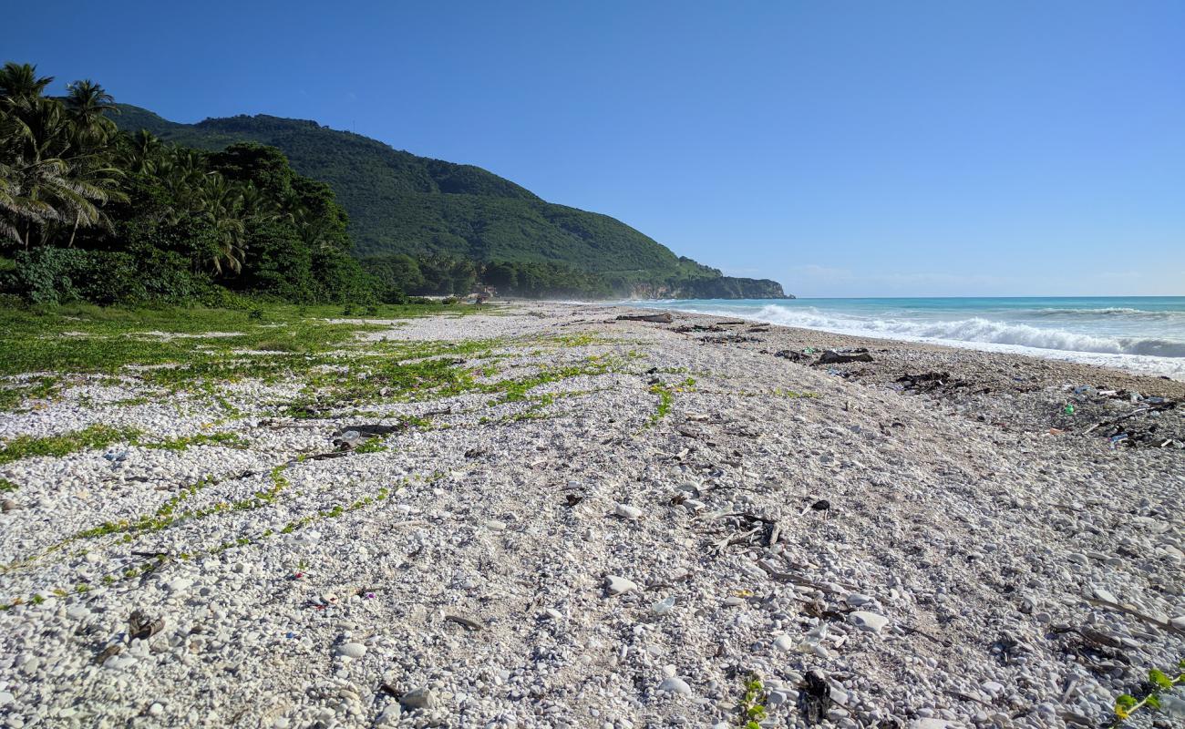 Punta Arena beach'in fotoğrafı küçük bej çakıl yüzey ile