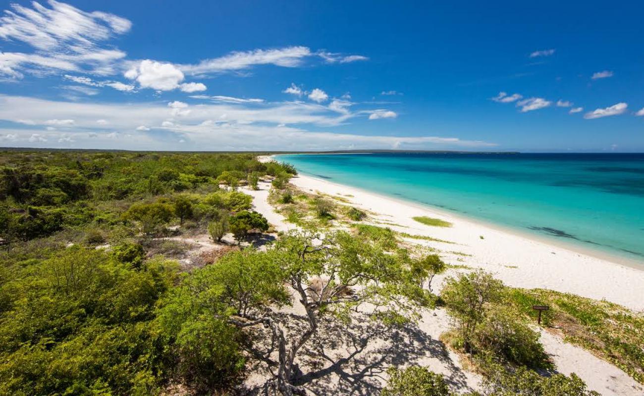 Eagles Bay beach'in fotoğrafı parlak ince kum yüzey ile