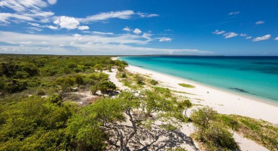 Eagles Bay beach