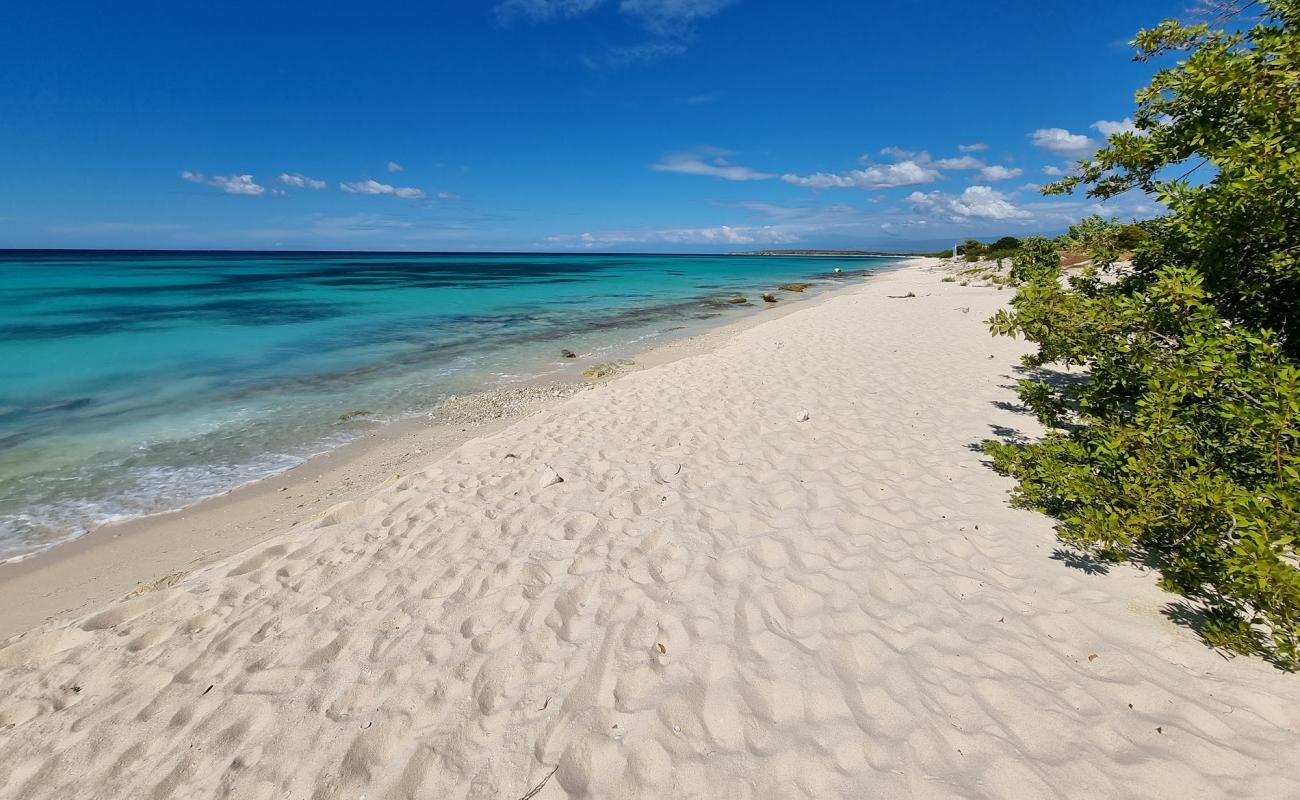 La Cueva beach'in fotoğrafı i̇nce bej kum yüzey ile