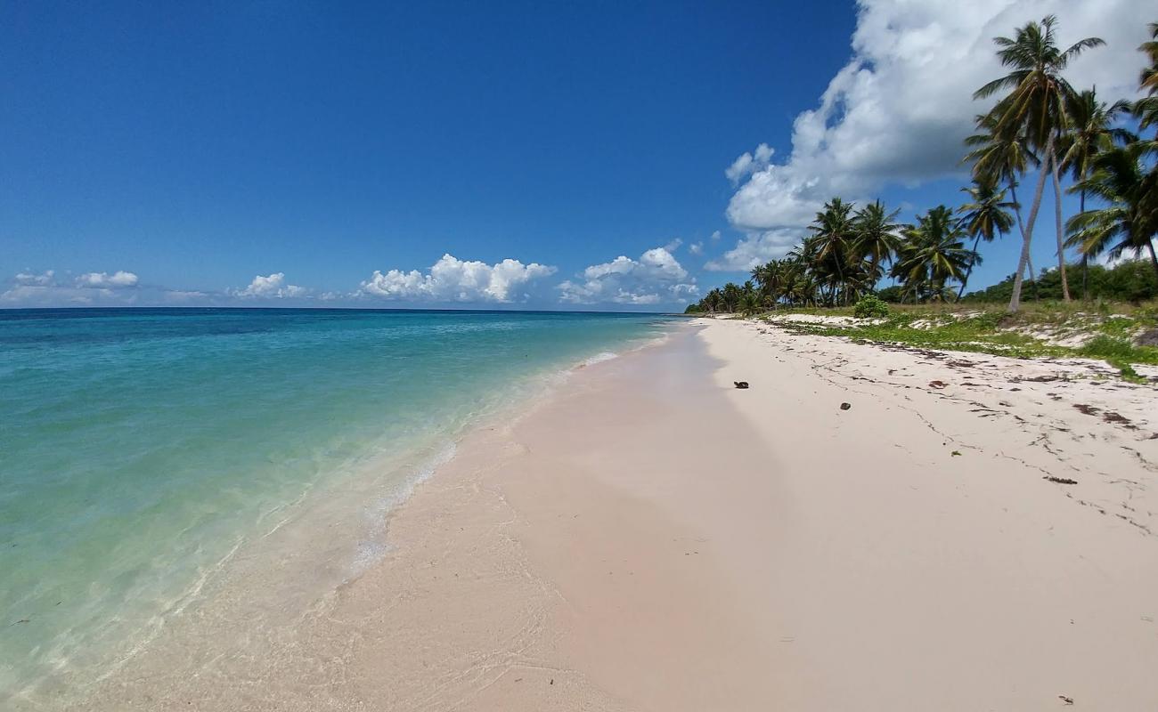 Canto beach II'in fotoğrafı i̇nce bej kum yüzey ile