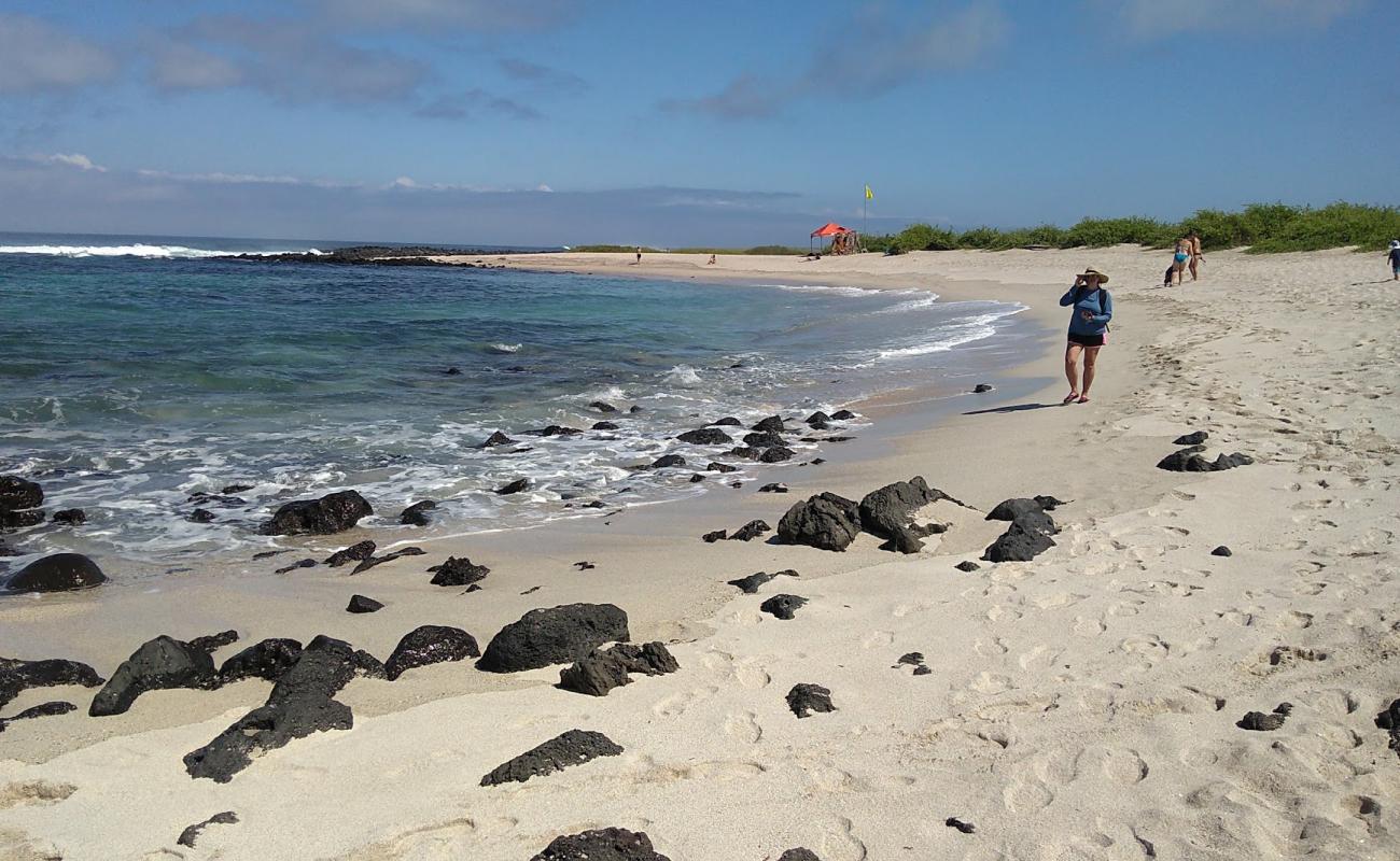 Playa Loberia'in fotoğrafı parlak kum yüzey ile