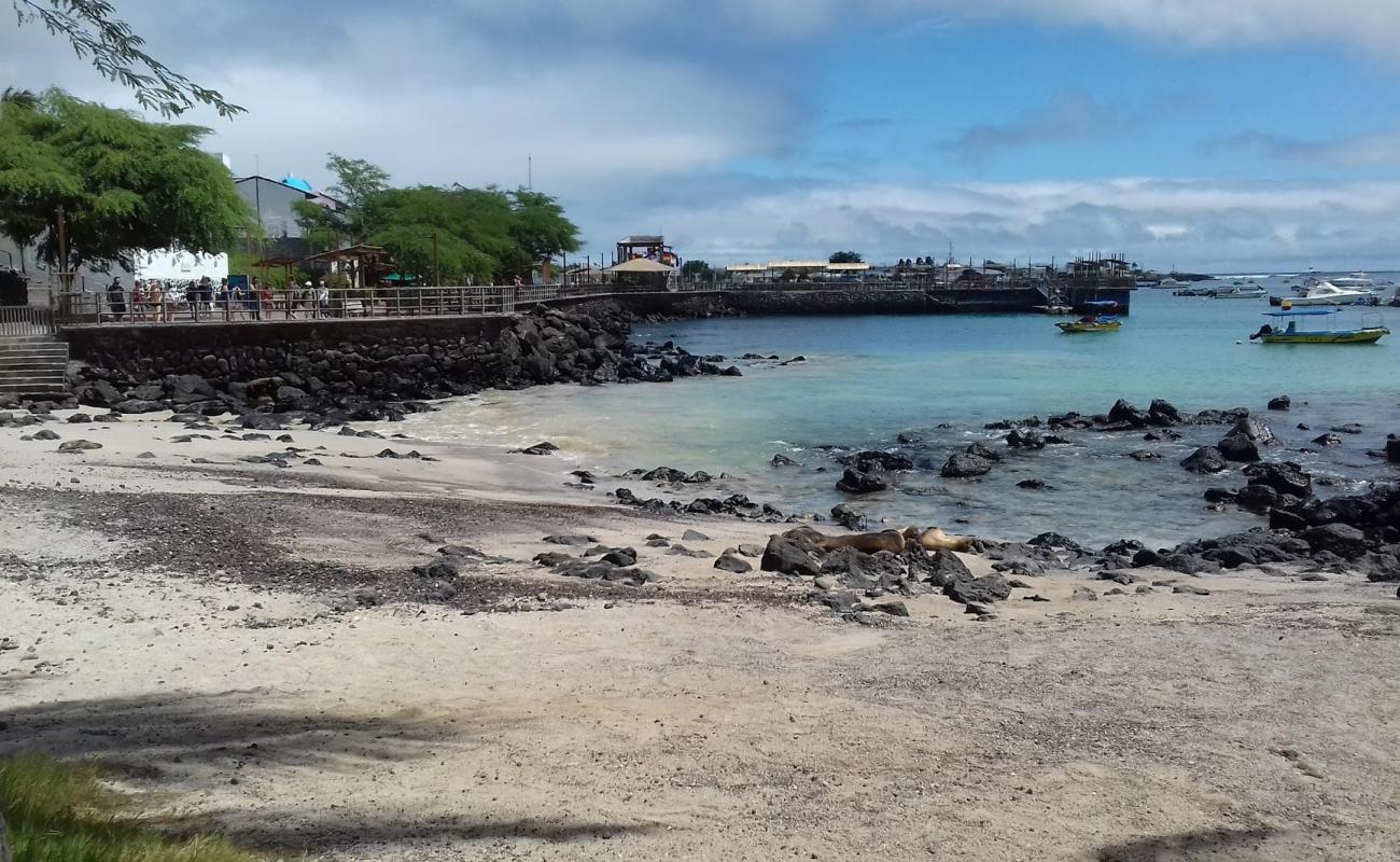 Playa de Oro'in fotoğrafı parlak kum ve kayalar yüzey ile