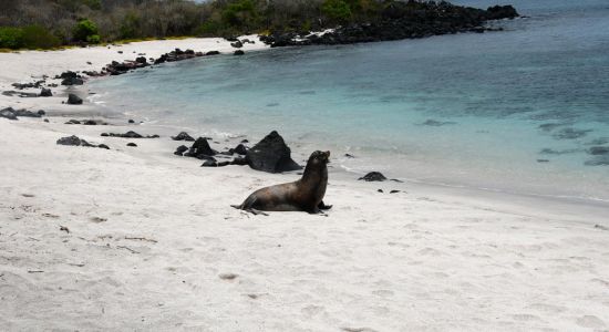 Playa Baquerizo