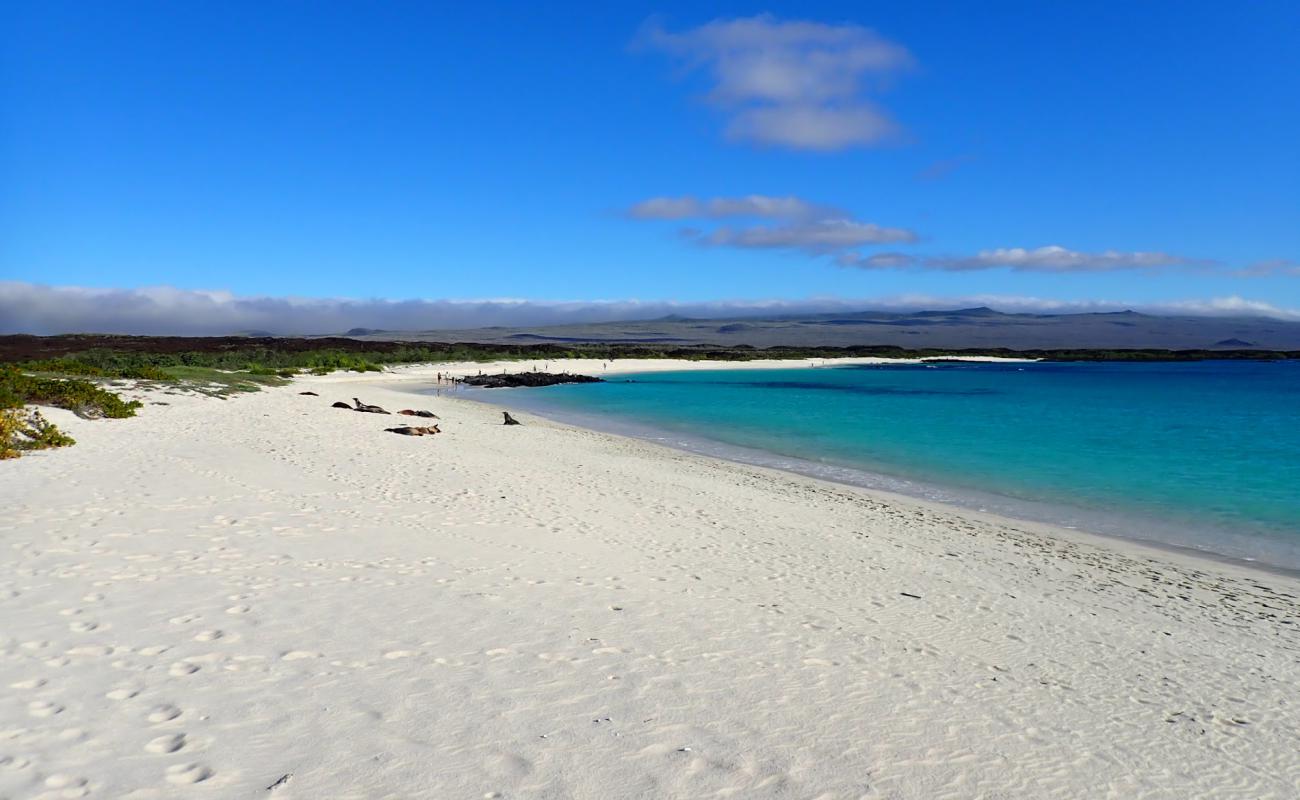 Playa Cerro Brujo'in fotoğrafı beyaz ince kum yüzey ile