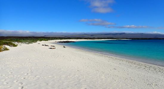 Playa Cerro Brujo