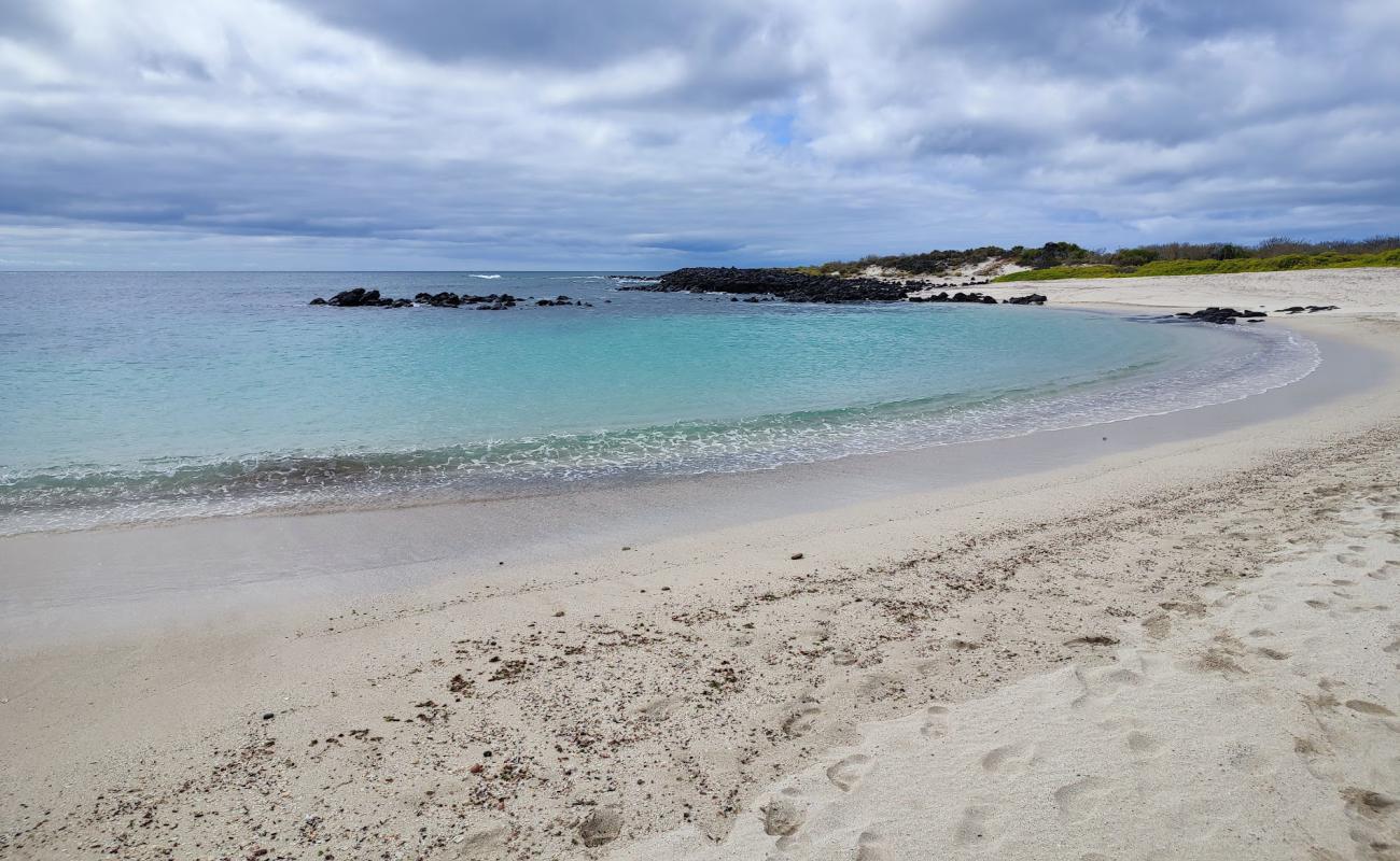 Bahia Sardina'in fotoğrafı beyaz kum yüzey ile