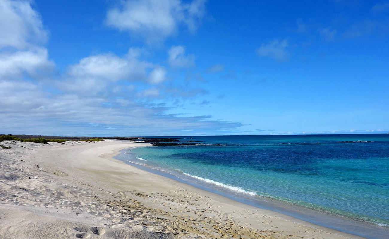 Playa La Galapaguera'in fotoğrafı parlak kum yüzey ile