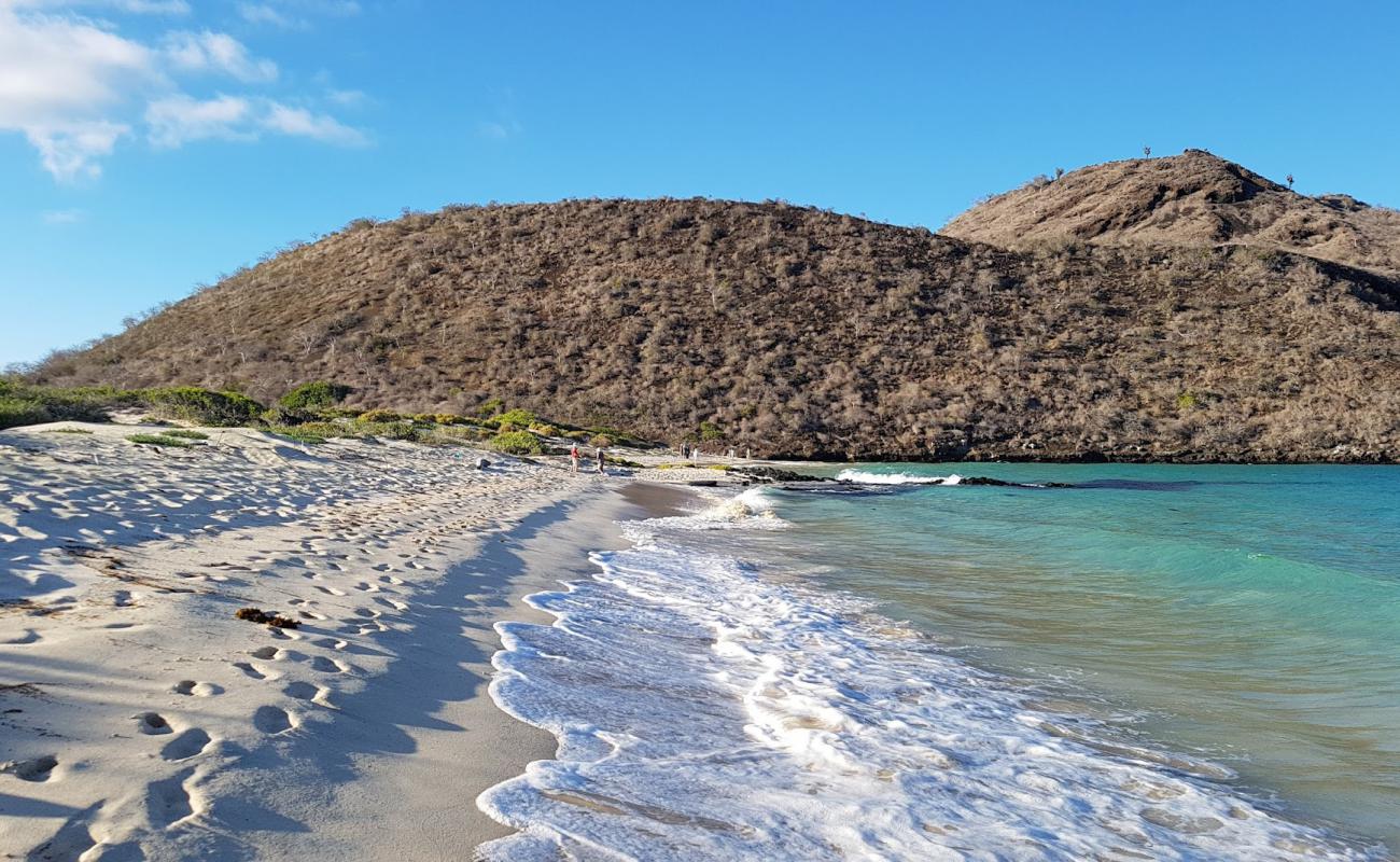 Punta Cormorant'in fotoğrafı parlak kum yüzey ile