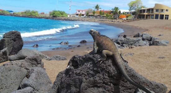 Playa Negra