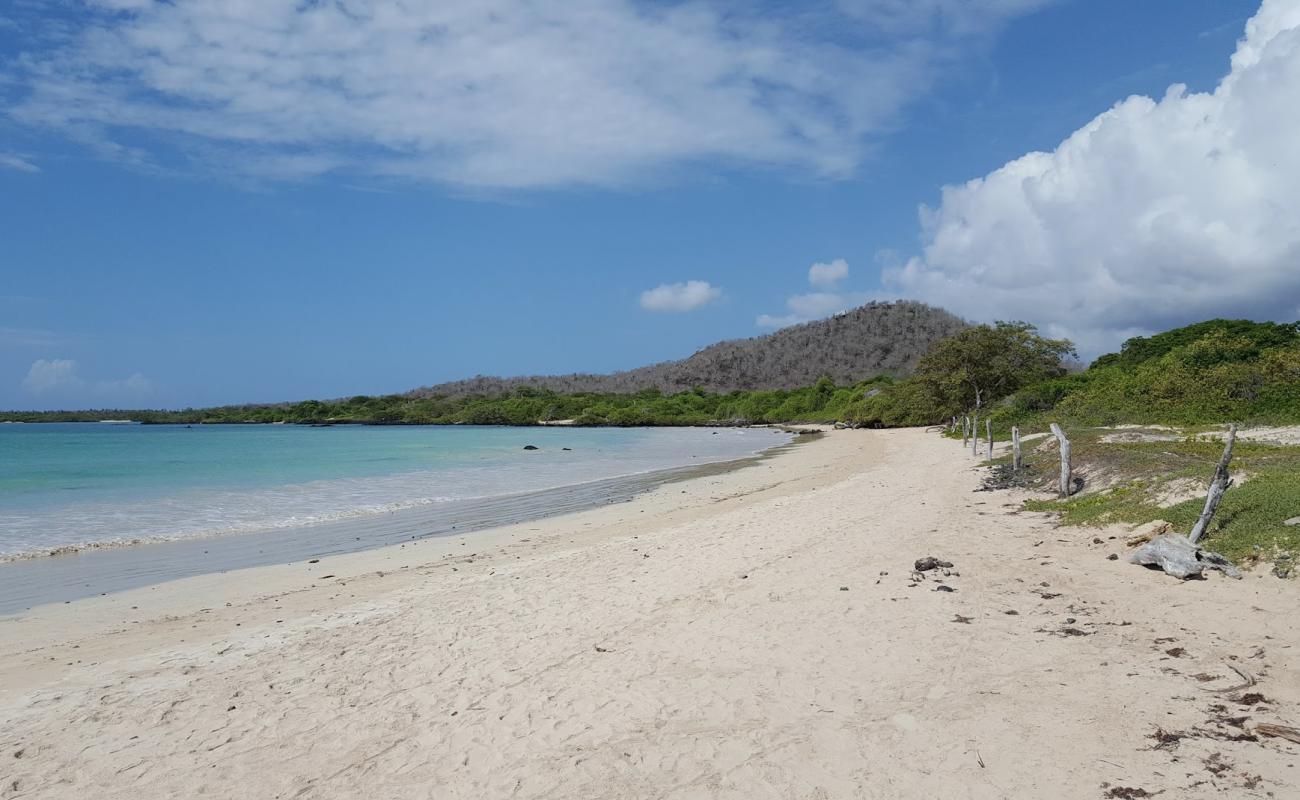 Playa El Garrapatero'in fotoğrafı parlak kum yüzey ile