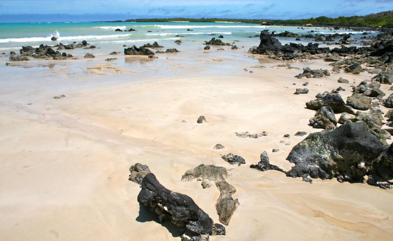 Garrapatero Beach'in fotoğrafı parlak kum yüzey ile