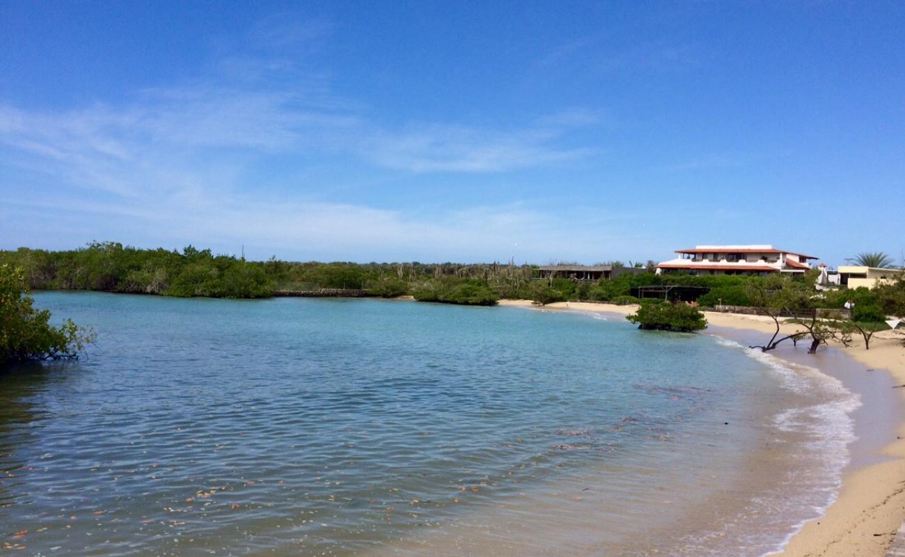 Playa los alemanes'in fotoğrafı parlak kum yüzey ile