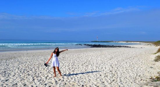 Tortuga Bay Galapagos