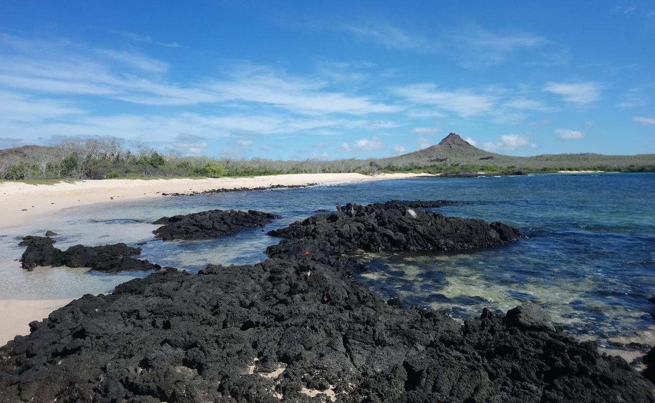 Cerro Dragon Beach'in fotoğrafı parlak kum ve kayalar yüzey ile