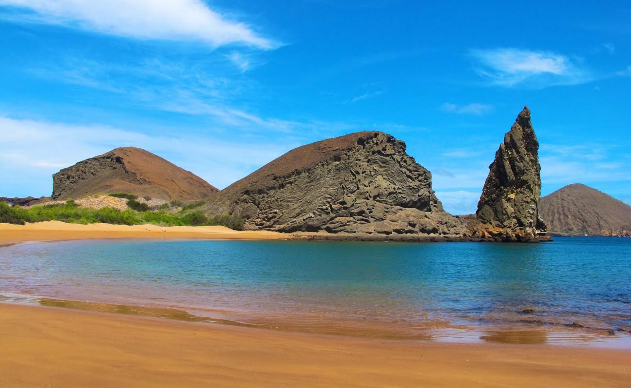 Playa Dorada'in fotoğrafı parlak kum yüzey ile