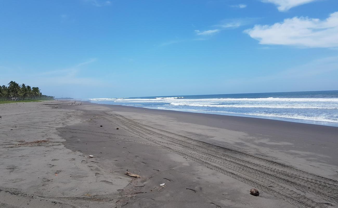 Garita Palmera beach'in fotoğrafı kahverengi kum yüzey ile