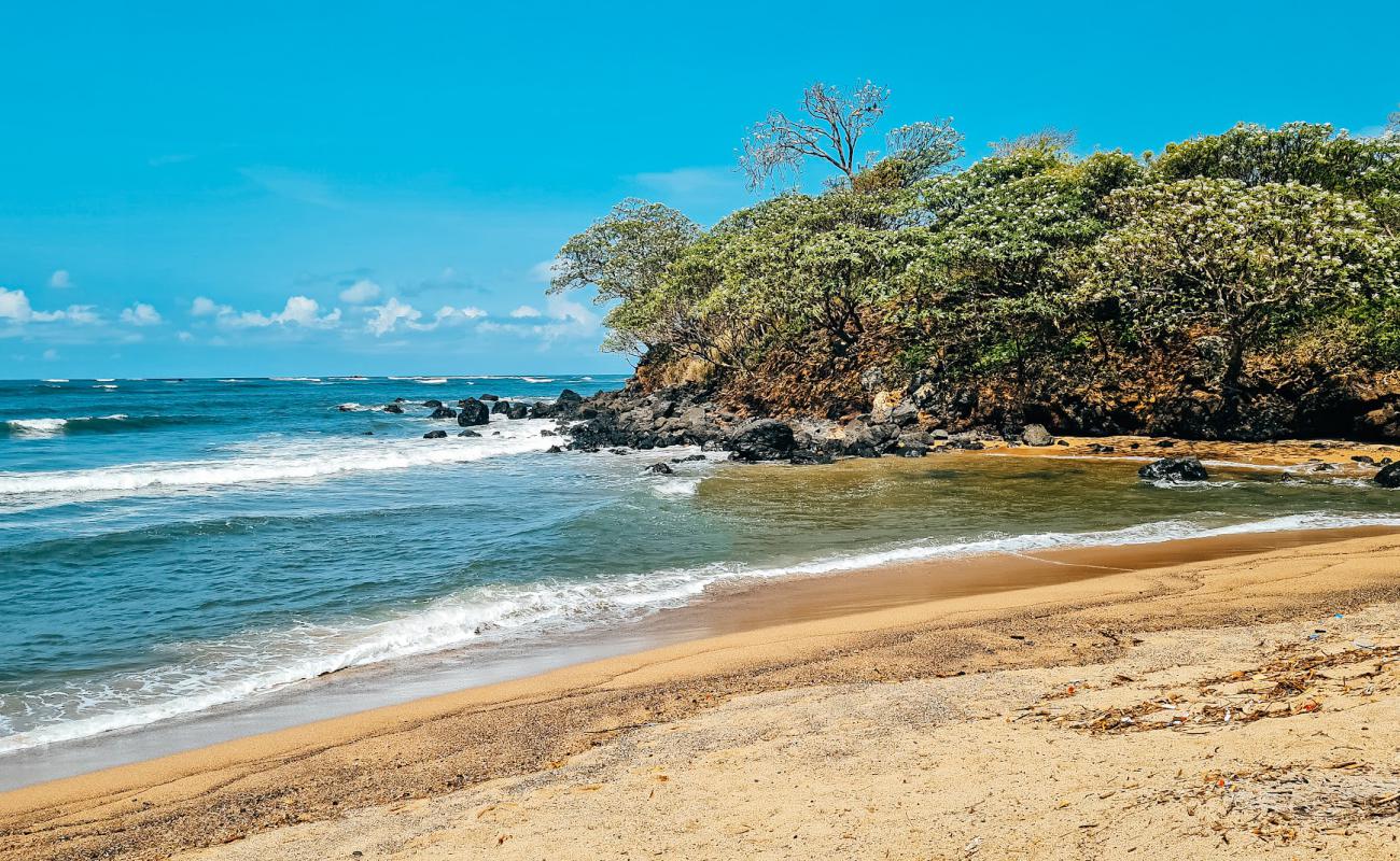 El Flor Beach'in fotoğrafı parlak kum ve kayalar yüzey ile