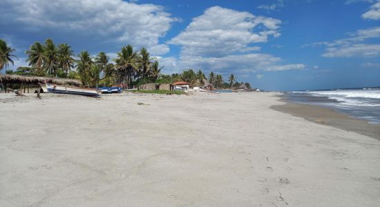 Leaves beach