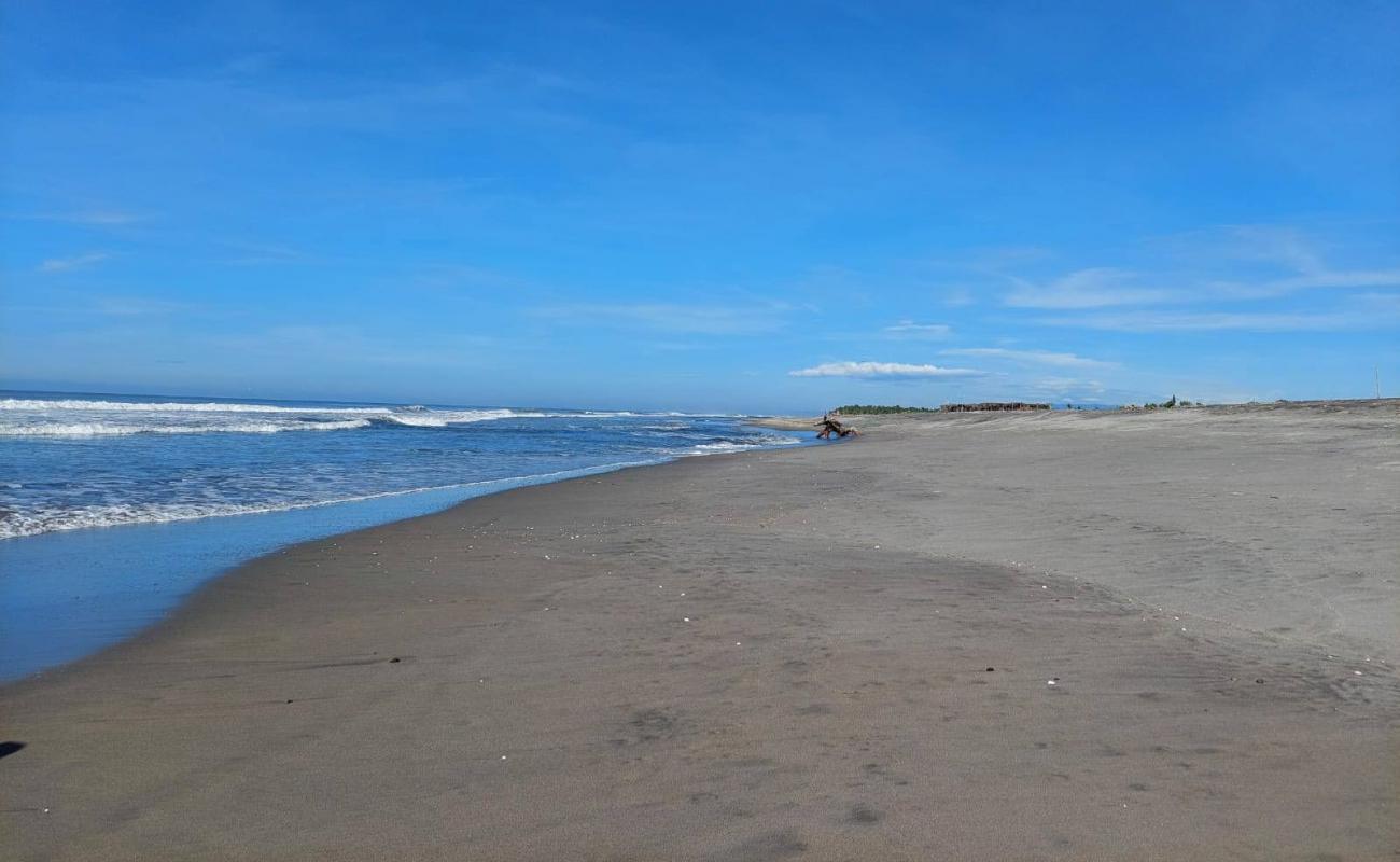 San Marcelino beach'in fotoğrafı gri kum yüzey ile