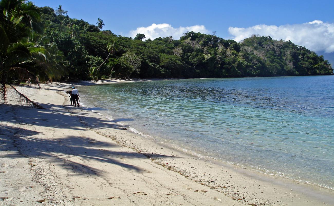 Waitatavi Bay Beach'in fotoğrafı beyaz kum yüzey ile