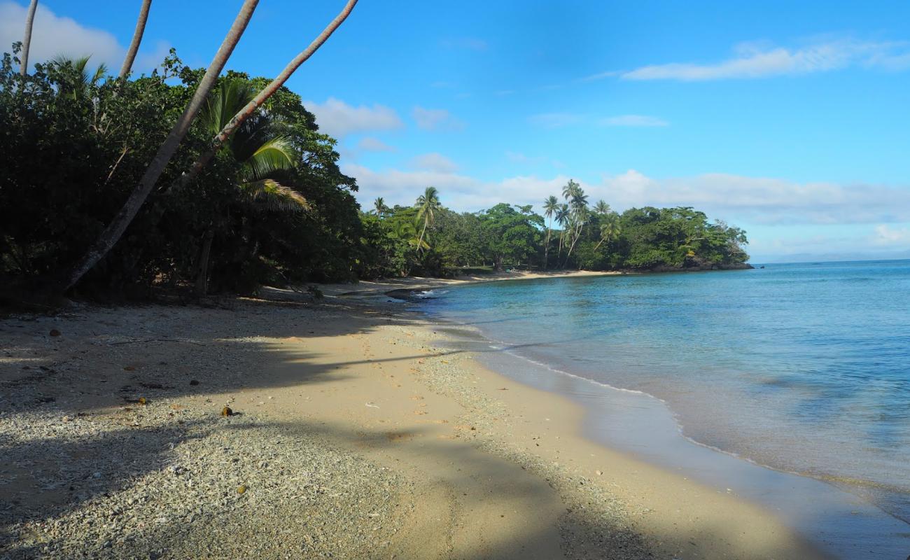 Vacala Bay Beach'in fotoğrafı parlak kabuk kumu yüzey ile