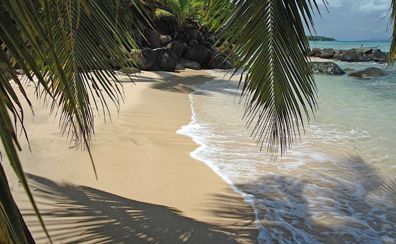 Taveuni Beach'in fotoğrafı parlak ince kum yüzey ile