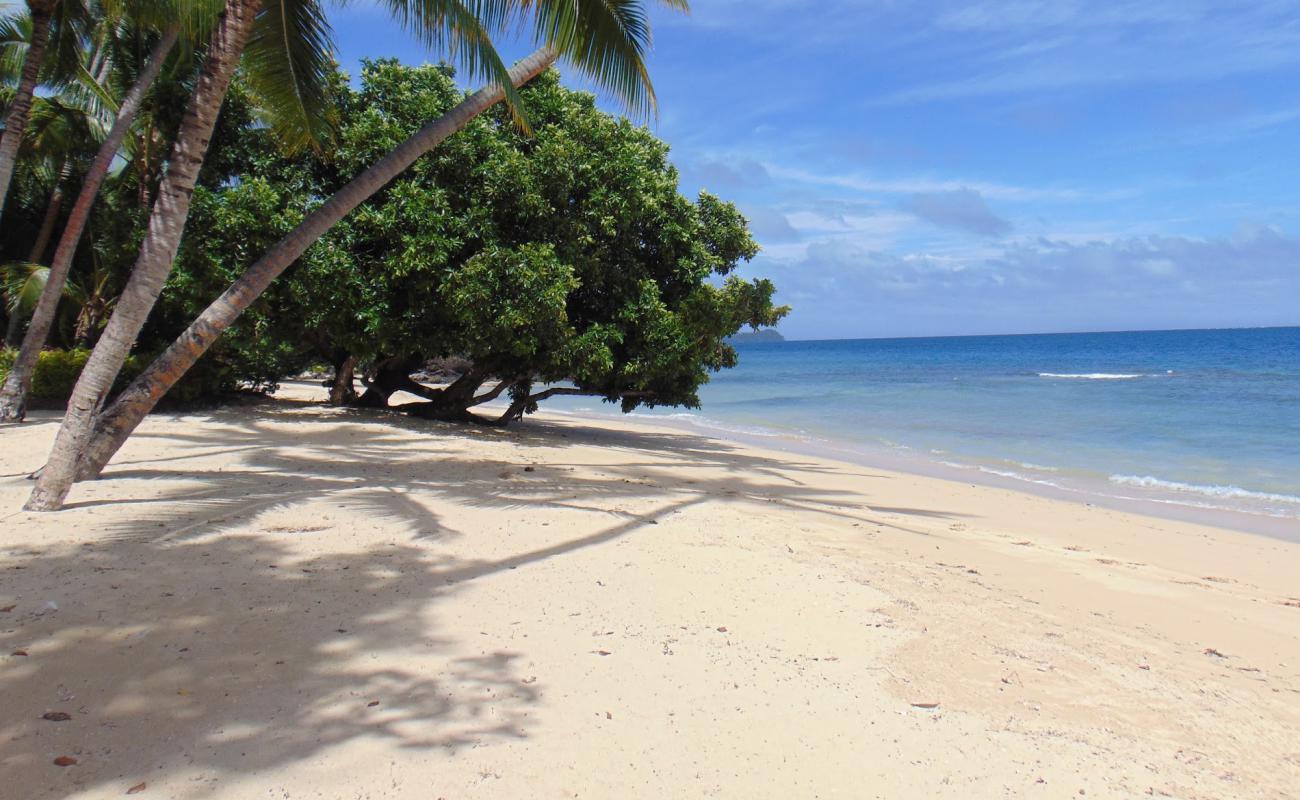 Laucala Beach II'in fotoğrafı açık bej kum yüzey ile