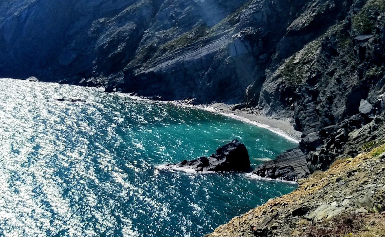 Plage du Minerai'in fotoğrafı gri çakıl taşı yüzey ile