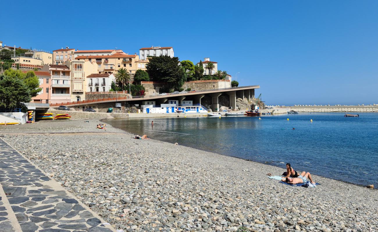 Cerbere beach'in fotoğrafı gri çakıl taşı yüzey ile