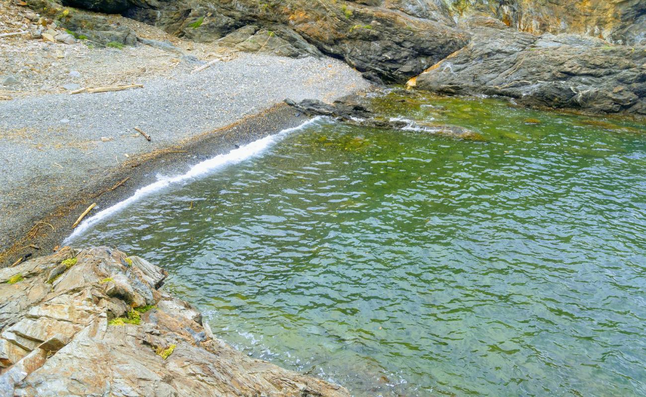 Cap Canadel beach'in fotoğrafı kayalık arazi yüzey ile