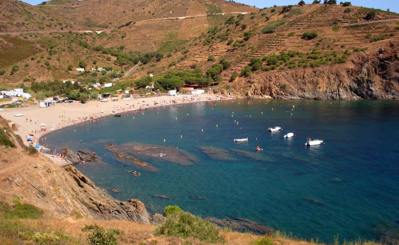 Peyrefite beach'in fotoğrafı gri çakıl taşı yüzey ile